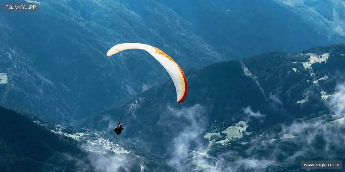 📺 一键直击，赛事瞬间零时差！