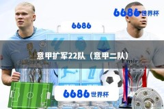 意甲扩军22队（意甲二队）