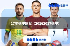 17年德甲冠军（20162017德甲）