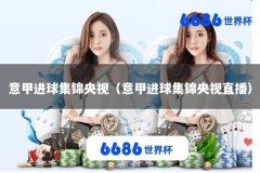 意甲进球集锦央视（意甲进球集锦央视直播）