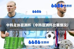 中韩足协亚洲杯（中韩亚洲杯比赛情况）
