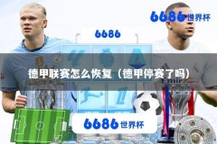 德甲联赛怎么恢复（德甲停赛了吗）