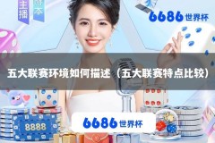 五大联赛环境如何描述（五大联赛特点比较）