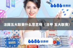 法国五大联赛什么意思呀（法甲 五大联赛）