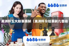 美洲杯五大联赛赛制（美洲杯分组赛前几晋级）